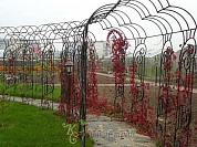 Кованая арка №36 в Екатеринбурге фото
